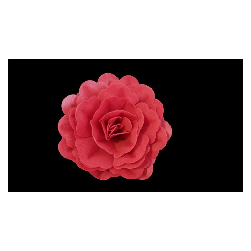 Wafer ruža 12,5 cm crvena Cijena