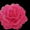 Wafer ruža 12,5 cm fuksija
