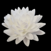 Wafer cvijet božur 12,5 cm bijeli